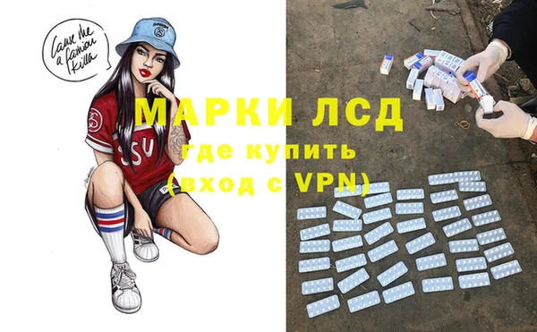 ГАЛЛЮЦИНОГЕННЫЕ ГРИБЫ Горняк