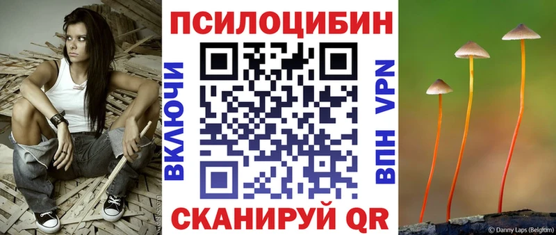 Купить закладки  Ядрин  Псилоцибиновые грибы GOLDEN TEACHER 